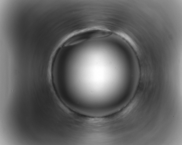 X0000088630902200706011142