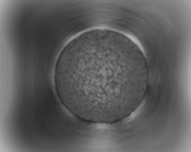 X0000088630903200706011142