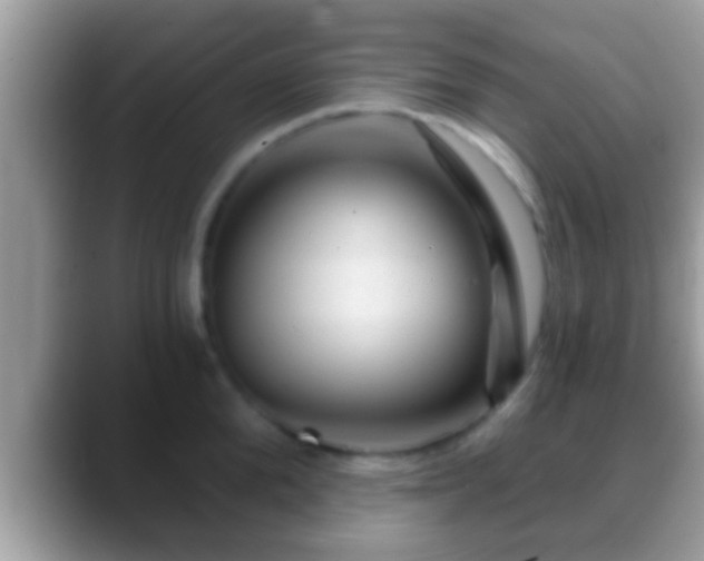 X0000088630904200706011142