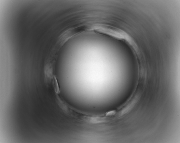 X0000088630905200706011142