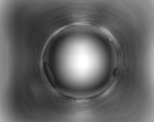 X0000088630908200706011142