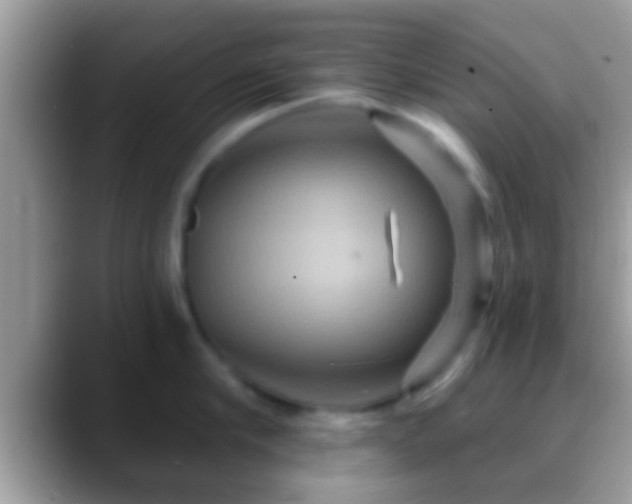 X0000088630910200706011142