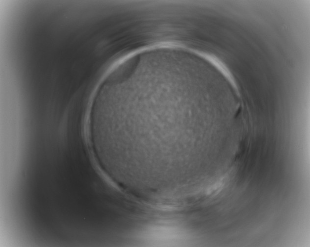 X0000088630911200706011142