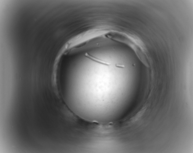 X0000088630912200706011142