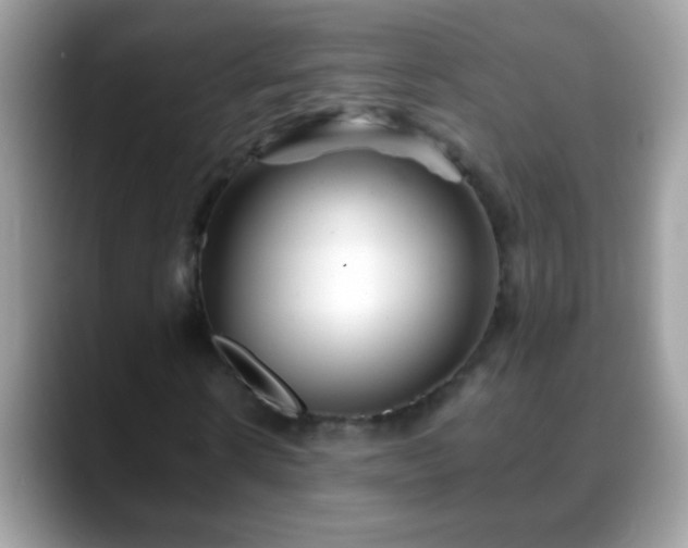 X0000088630914200706011142