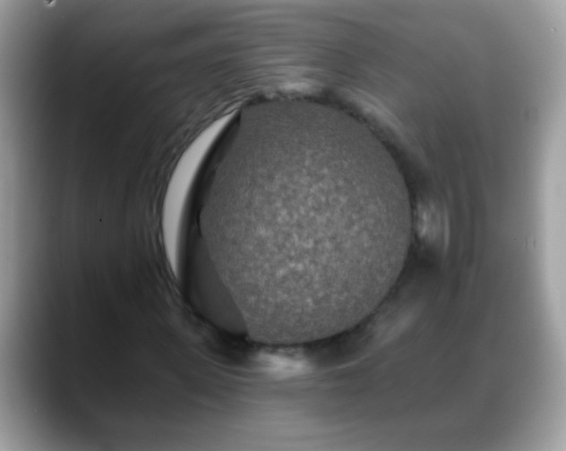 X0000088630915200706011142