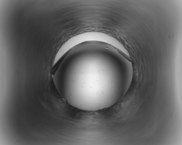 X0000088630916200706011142