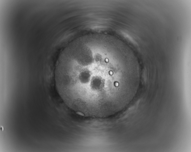 X0000088630917200706011142