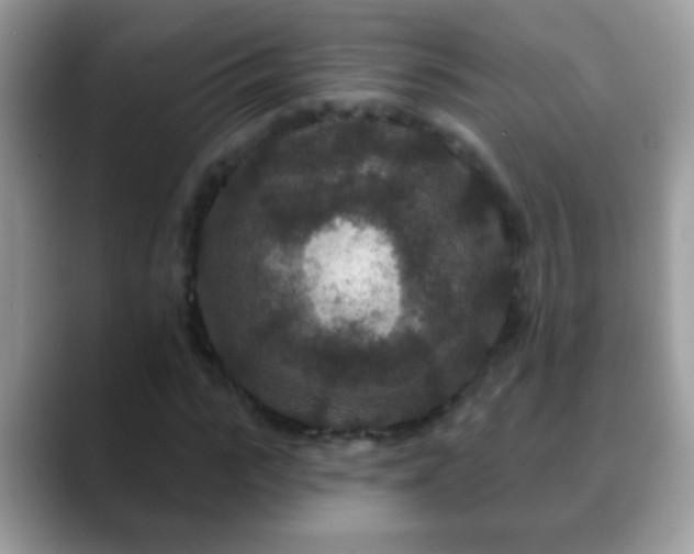 X0000088630919200706011142