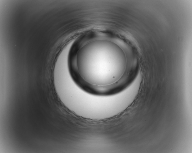 X0000088630920200706011142