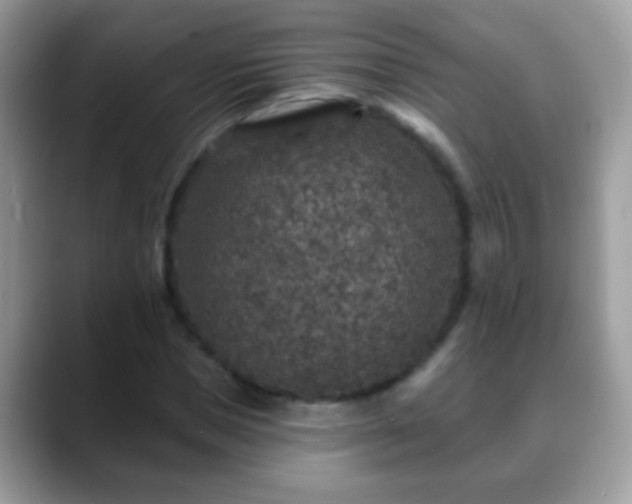 X0000088630921200706011142