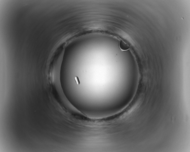 X0000088630922200706011142