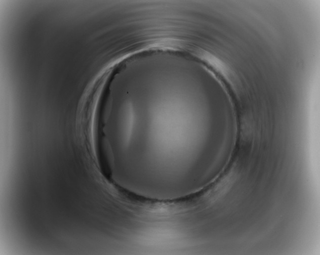 X0000088630923200706011142