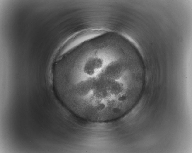 X0000088630925200706011142