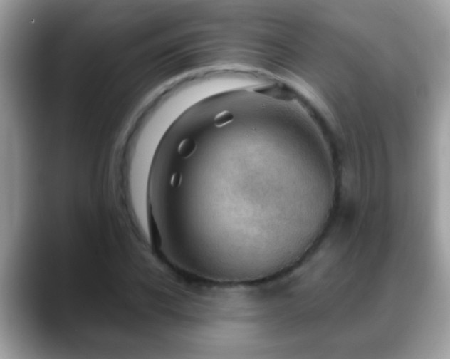 X0000088630926200706011142