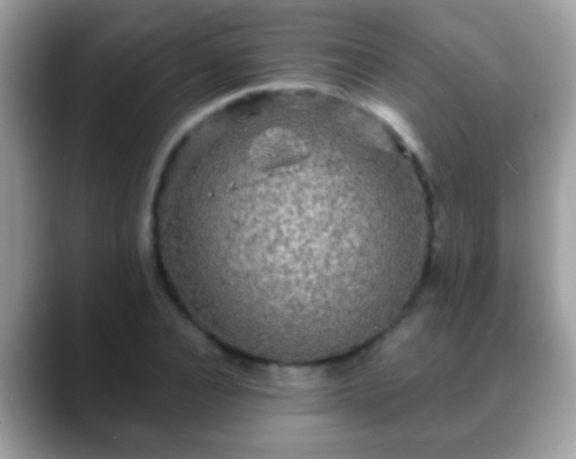 X0000088630928200706011142