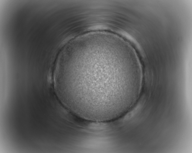 X0000088630929200706011142