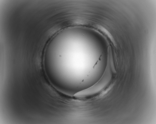 X0000088630930200706011142