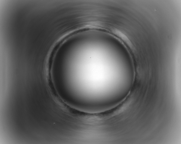 X0000088630931200706011142