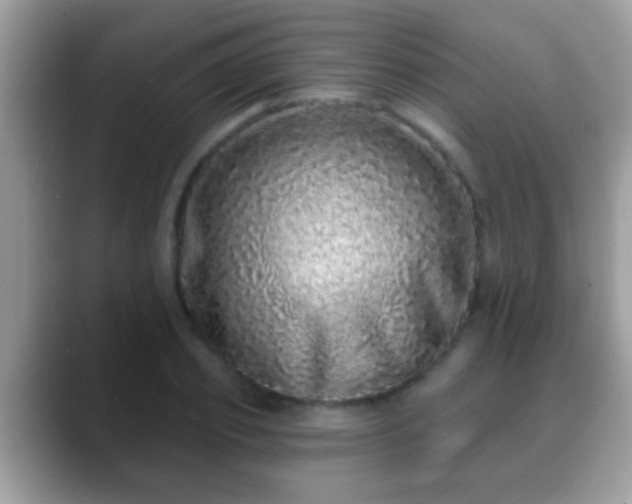 X0000088630933200706011142