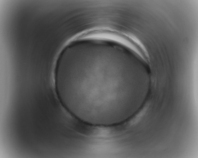 X0000088630935200706011142