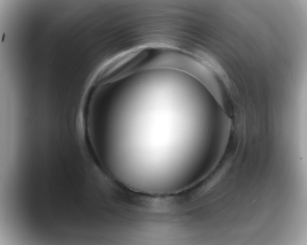 X0000088630936200706011142