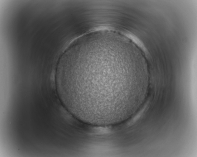 X0000088630937200706011142