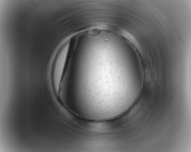 X0000088630939200706011142