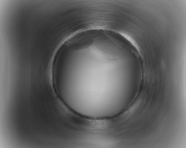 X0000088630941200706011142