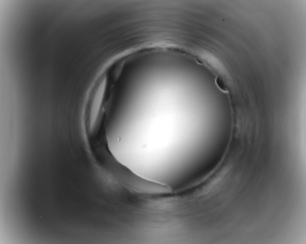 X0000088630942200706011142