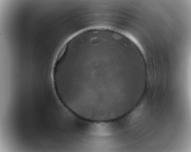 X0000088630943200706011142