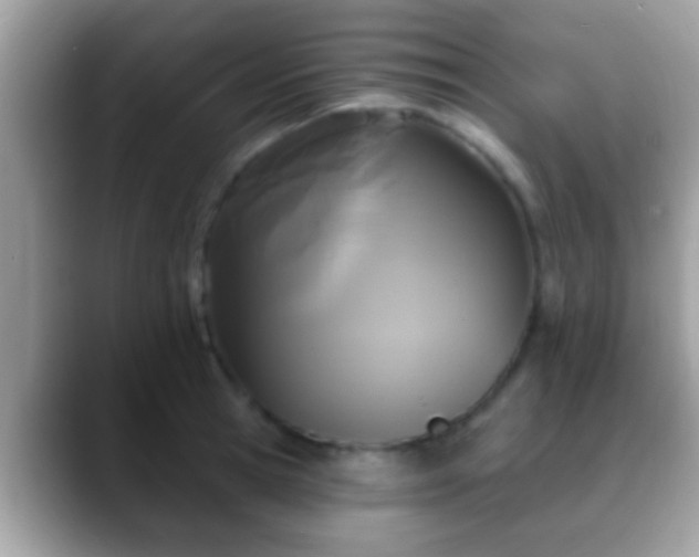 X0000088630945200706011142