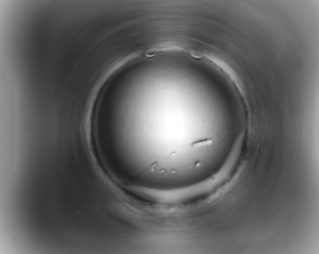 X0000088630949200706011142