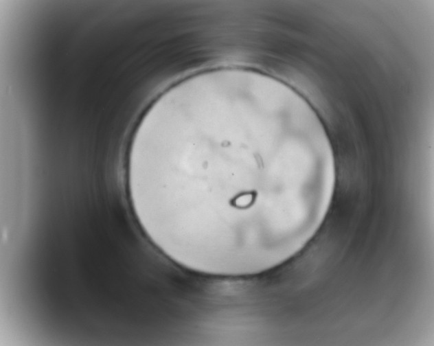 X0000088630950200706011142