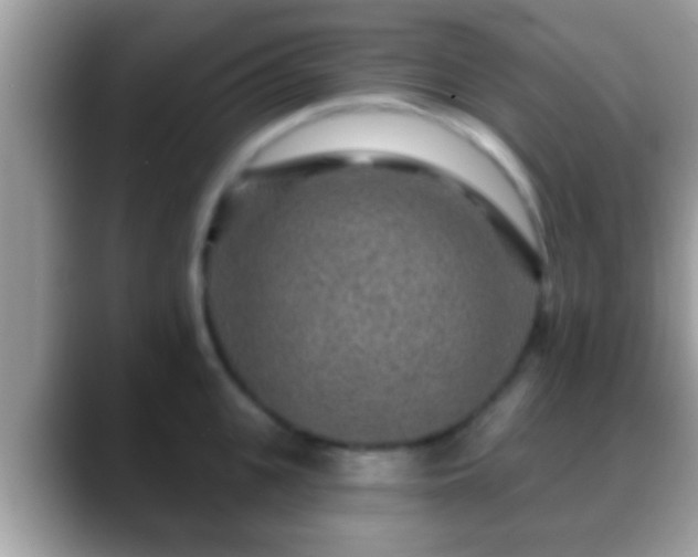 X0000088630951200706011142