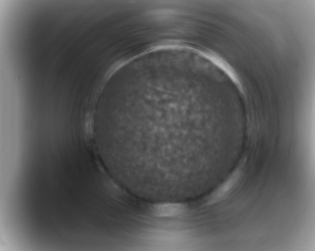 X0000088630953200706011142