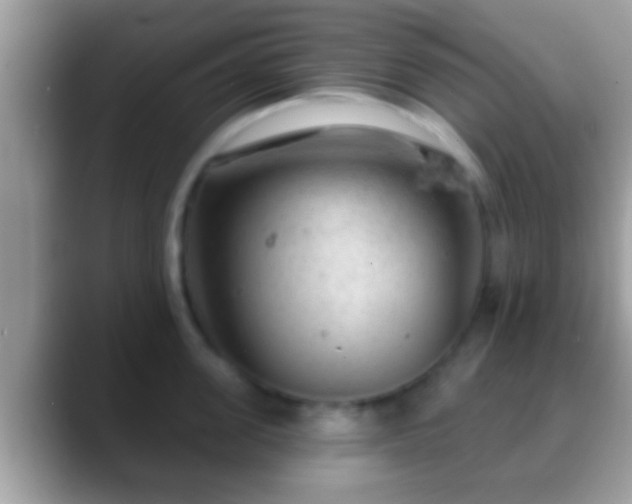 X0000088630955200706011142