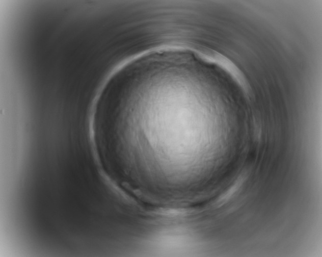 X0000088630958200706011142