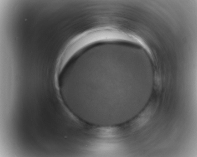 X0000088630959200706011142