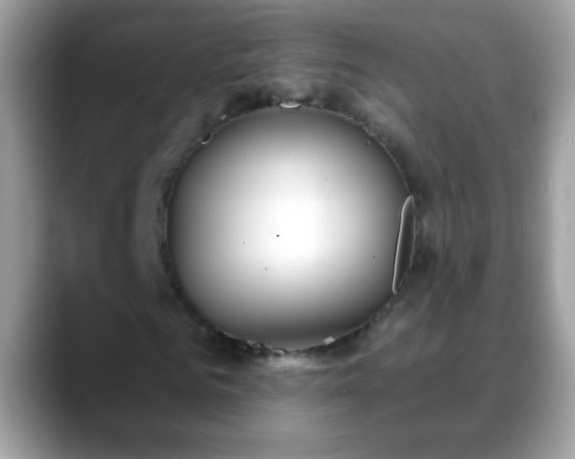 X0000088630961200706011142