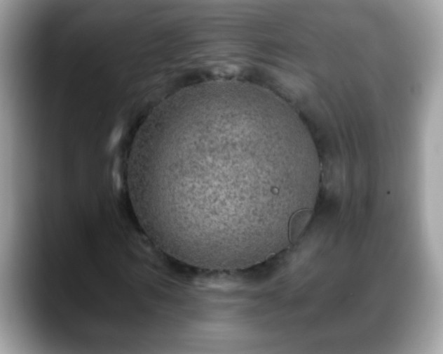 X0000088630962200706011142