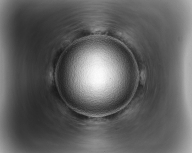 X0000088630963200706011142