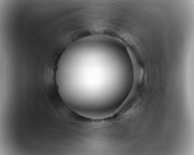 X0000088630964200706011142