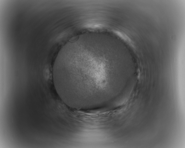 X0000088630966200706011142