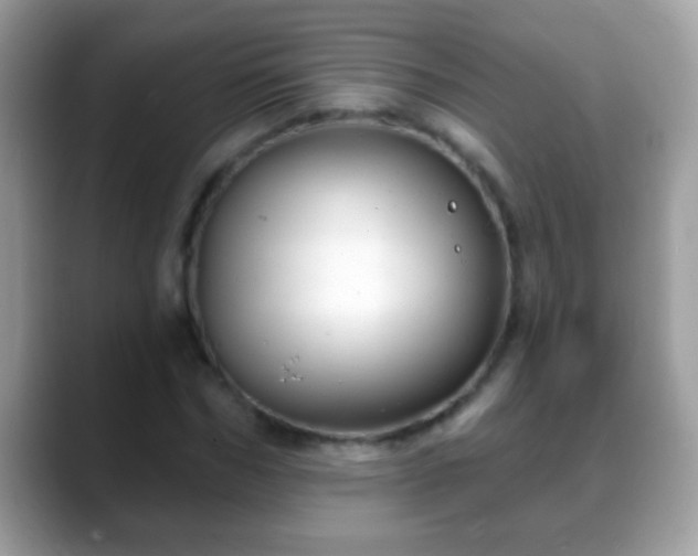 X0000088630970200706011142