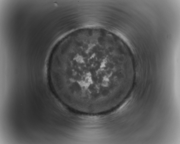 X0000088630975200706011141