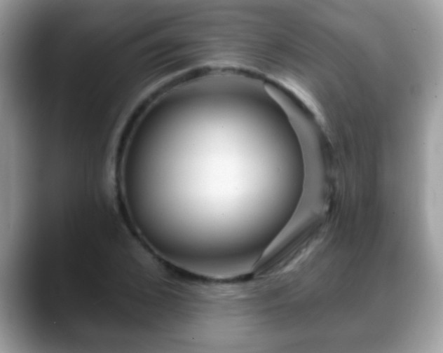 X0000088630976200706011141