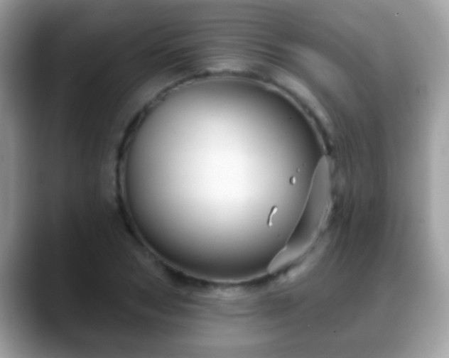 X0000088630978200706011141