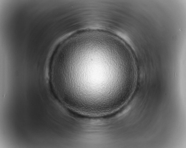 X0000088630979200706011141