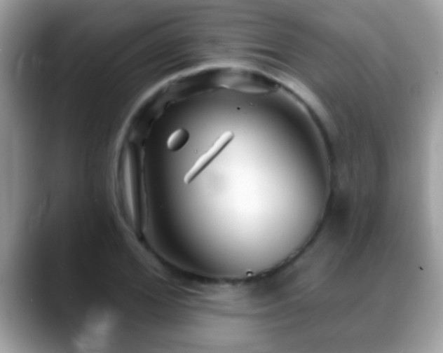 X0000088630980200706011141